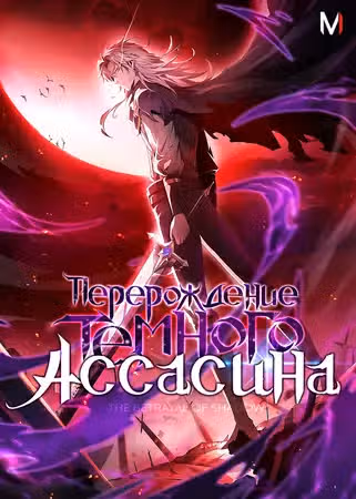 Перерождение темного ассасина — обложка, читать онлайн