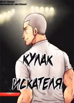 Кулак искателя — обложка, читать онлайн