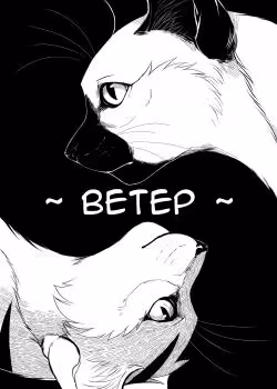 Душа Ветра — обложка, читать онлайн