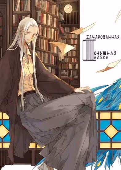 Зачарованная книжная лавка — обложка, читать онлайн