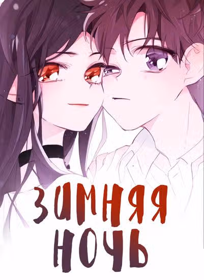 Зимняя ночь — обложка, читать онлайн
