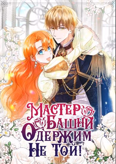 Мастер башни одержим не той! — обложка, читать онлайн