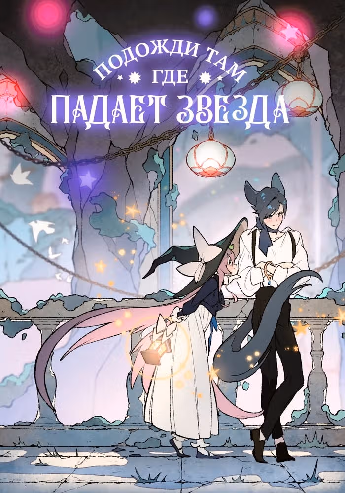 Подожди там, где падает звезда — обложка, читать онлайн